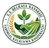 ss-belkayakasabasi-tkk.com
